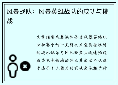 风暴战队：风暴英雄战队的成功与挑战